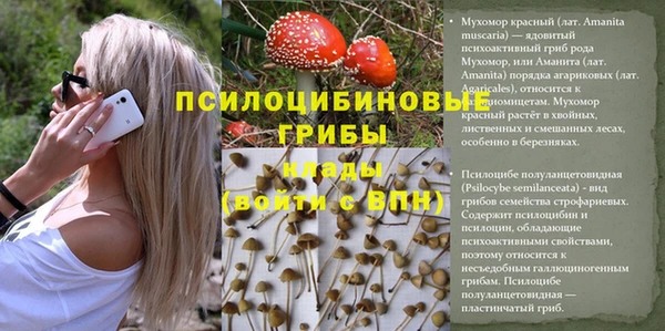 МДПВ Киренск